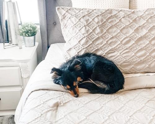 What Does Your Sleep Position Say About Your Personality?
