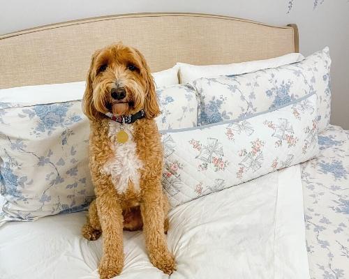 Decorating Your Home For The Coziest Season