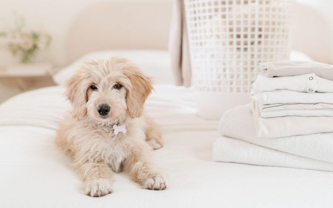 All About Sleep Hygiene