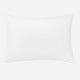 Down Alternative Pillow (Set of 2)