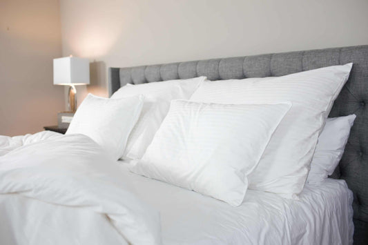 Cotton Pillow Protectors with 2" Gusset