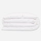 Winter Weight Hungarian Goose Down Comforter